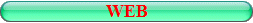 WEB EN INTERNET